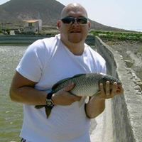 Mark Summers Photo 27
