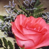 Debra Randall Photo 2