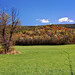 John Kinder Photo 11