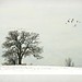 Don Jewell Photo 6