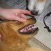 Teri Parsons Photo 15
