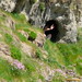 Richard Cave Photo 34