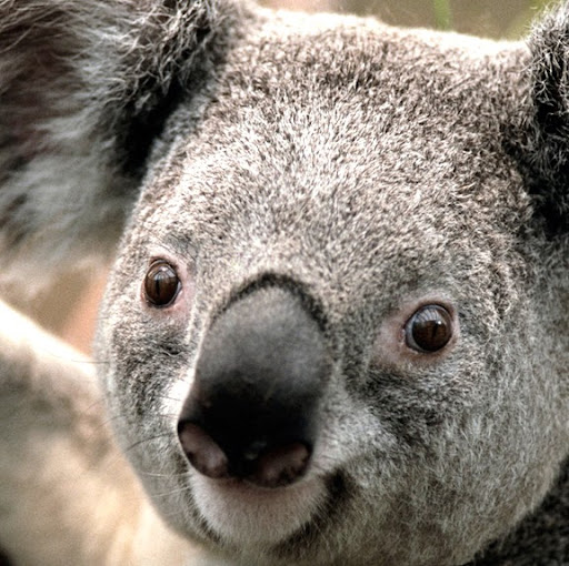 Philip Needham Photo 3