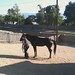 Robyn Tucker Photo 13