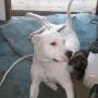 Kelly Vanderpool Photo 13