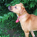 Tabitha Tanner Photo 18