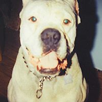 Debra Sanders Photo 15