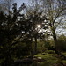 Ray Horvath Photo 9