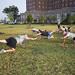 Robert Sarvis Photo 30