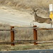 Teresa Leap Photo 12