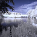 Robert Compton Photo 10