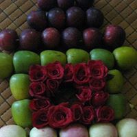 Chi Doan Photo 16