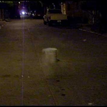 Rogelio Cortez Photo 9