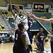 Larry Wilkins Photo 30