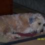 Jill Tubbs Photo 12