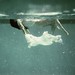 Sarah Gaskin Photo 15