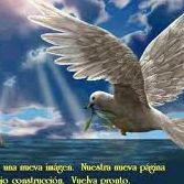 Carlos Oquendo Photo 36