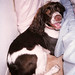 Bonnie Bright Photo 19