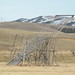 Derrick Woods Photo 11