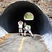 Jason Nickerson Photo 16