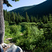 Dawn Trout Photo 15