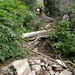 Rachel Root Photo 20