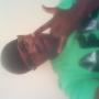 T Jenkins Photo 25