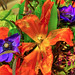 Sammie Flowers Photo 14
