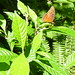 Roberta Green Photo 31