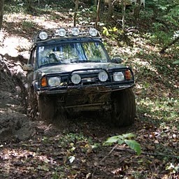 Matthew Hines Photo 4
