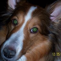 Mike Heffner Photo 36