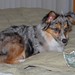 Merle Lewis Photo 11