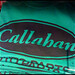 Tommy Callahan Photo 16