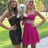 Stephen Louis Photo 28