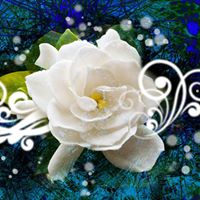 Rose Lowry Photo 8