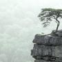 Jan Liu Photo 15