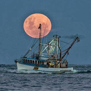 Mark Whitlock Photo 20