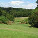 Joseph Tuttle Photo 15