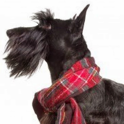 Diane Mckenney Photo 6