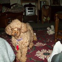 Judith Huber Photo 13