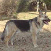 Amy Fulcher Photo 21