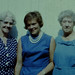 Sue Vines Photo 9