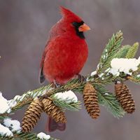 Judy Byrum Photo 7