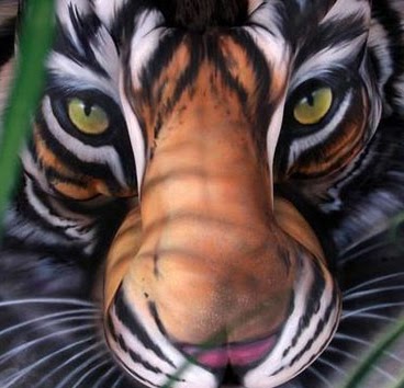 David Hefner Photo 6