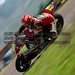 Luis Lugo Photo 17
