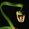 Jeremy Foster Photo 3