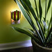 Art Green Photo 33
