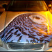 Michael Fitzsimmons Photo 35