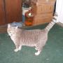 Jeanette Parker Photo 26