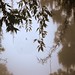 Misty Payne Photo 16